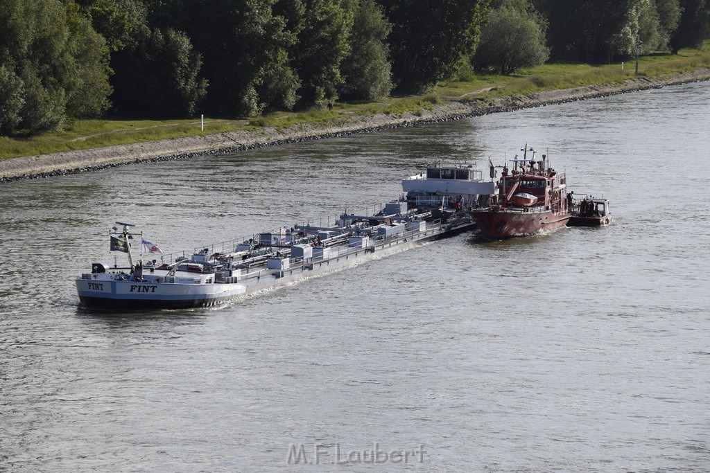 Schiff 1 Koeln in Hoehe der Koelner Zoobruecke P071.JPG - Miklos Laubert